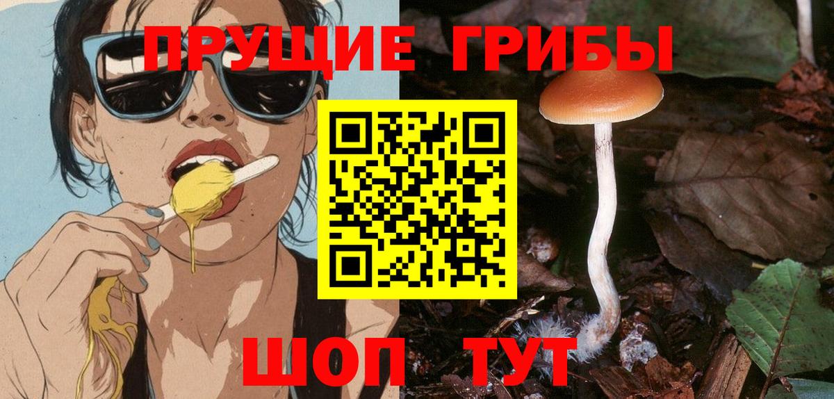 Псилоцибиновые грибы прущие грибы  Вход с VPN  Галлюциногенные грибы Cubensis  где можно купить   Малгобек 
